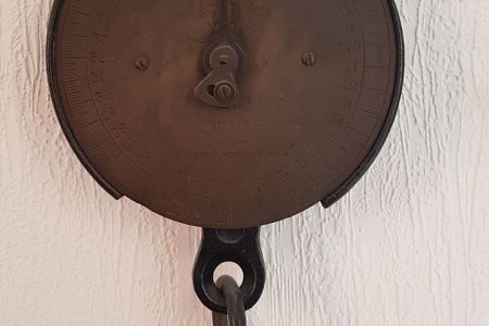 20220908_113311.jpg