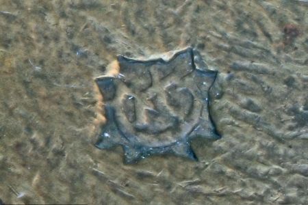 A19_L051f.jpg