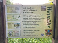 image14.jpeg